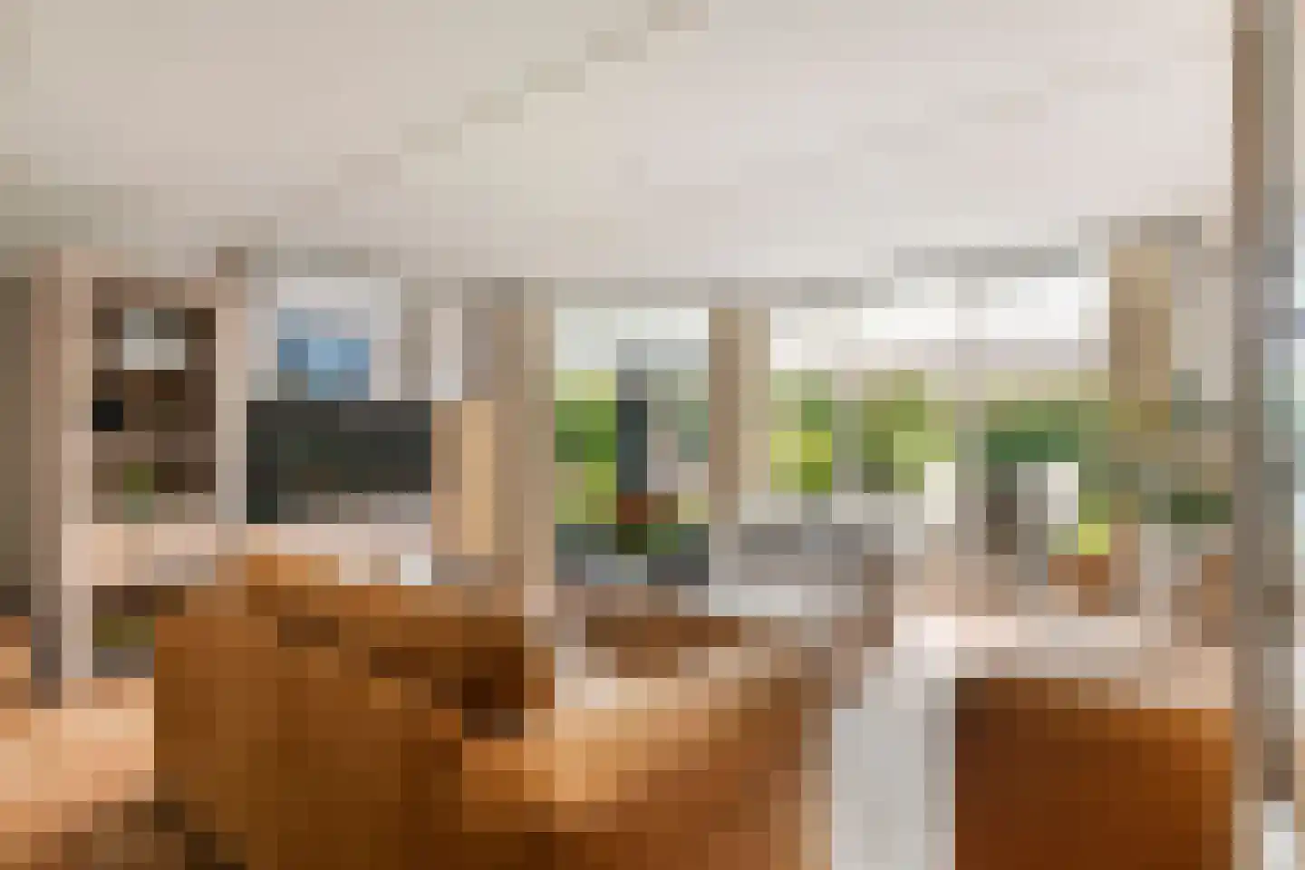 F.J. Ebbensstraat 60 Tiel thumbnail 7