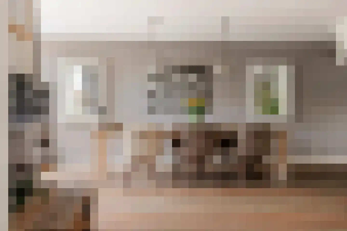 F.J. Ebbensstraat 74 Tiel thumbnail 13