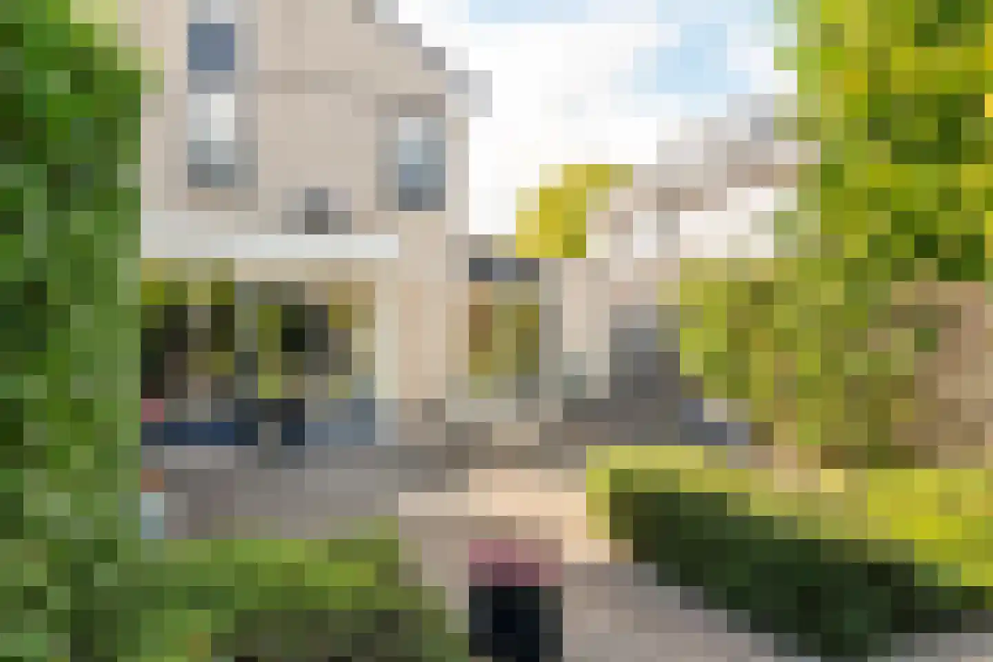 F.J. Ebbensstraat 74 Tiel thumbnail 24