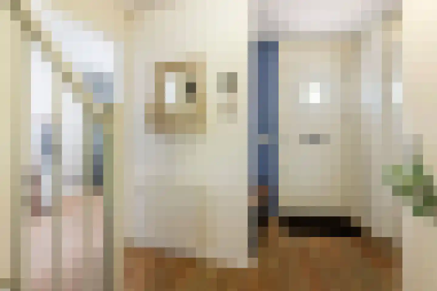 F.J. Ebbensstraat 74 Tiel thumbnail 27