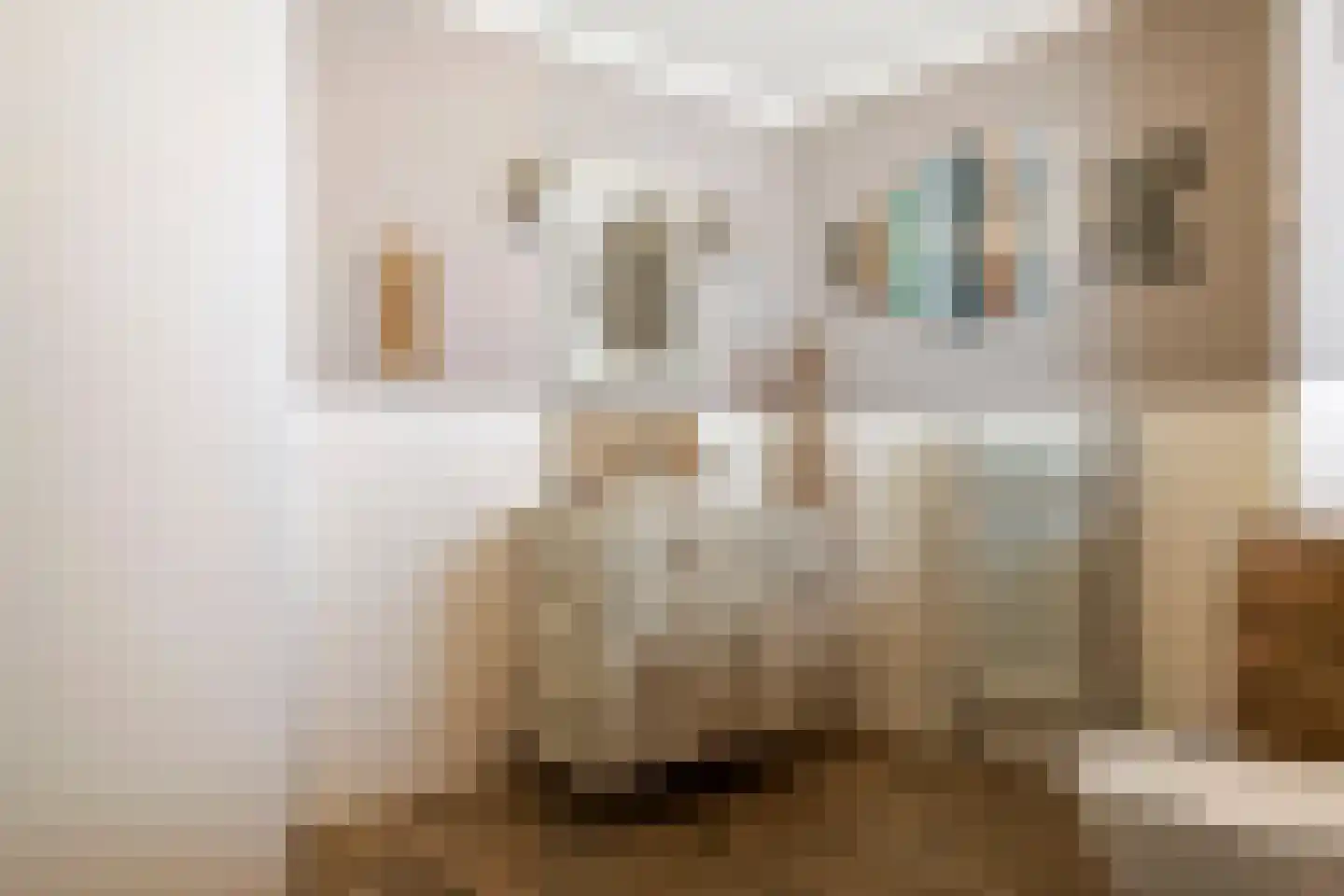 F.J. Ebbensstraat 74 Tiel thumbnail 38