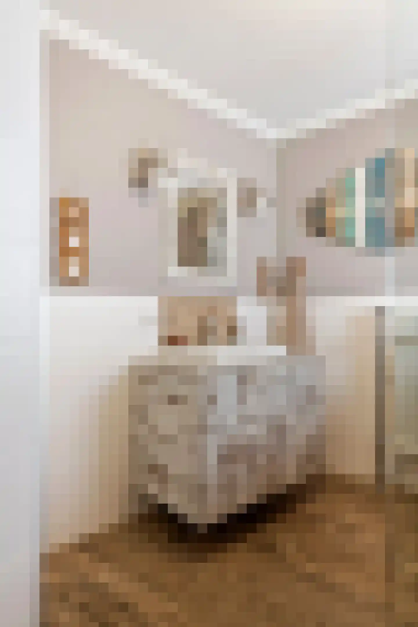 F.J. Ebbensstraat 74 Tiel thumbnail 39