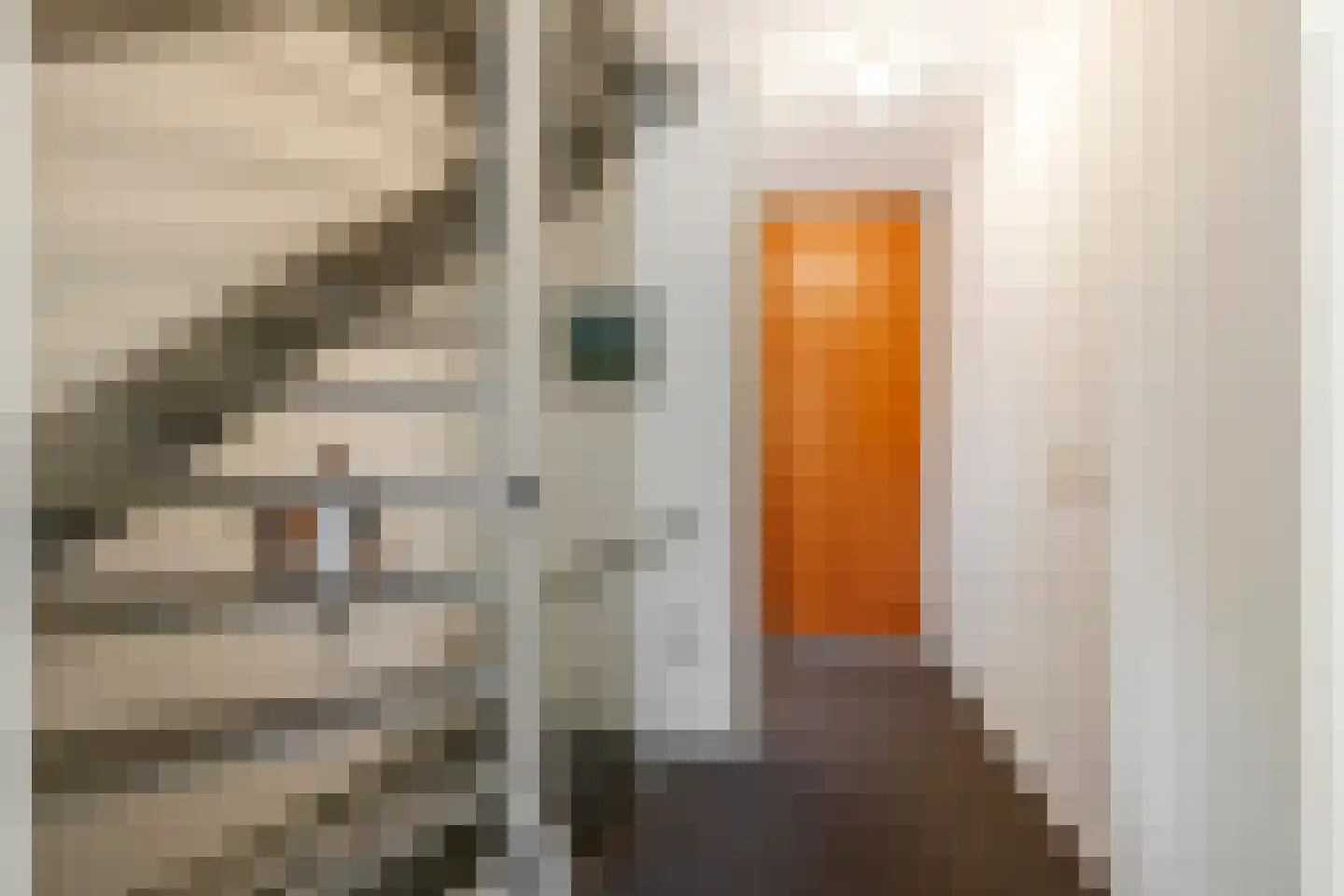 F.J. Ebbensstraat 74 Tiel thumbnail 41