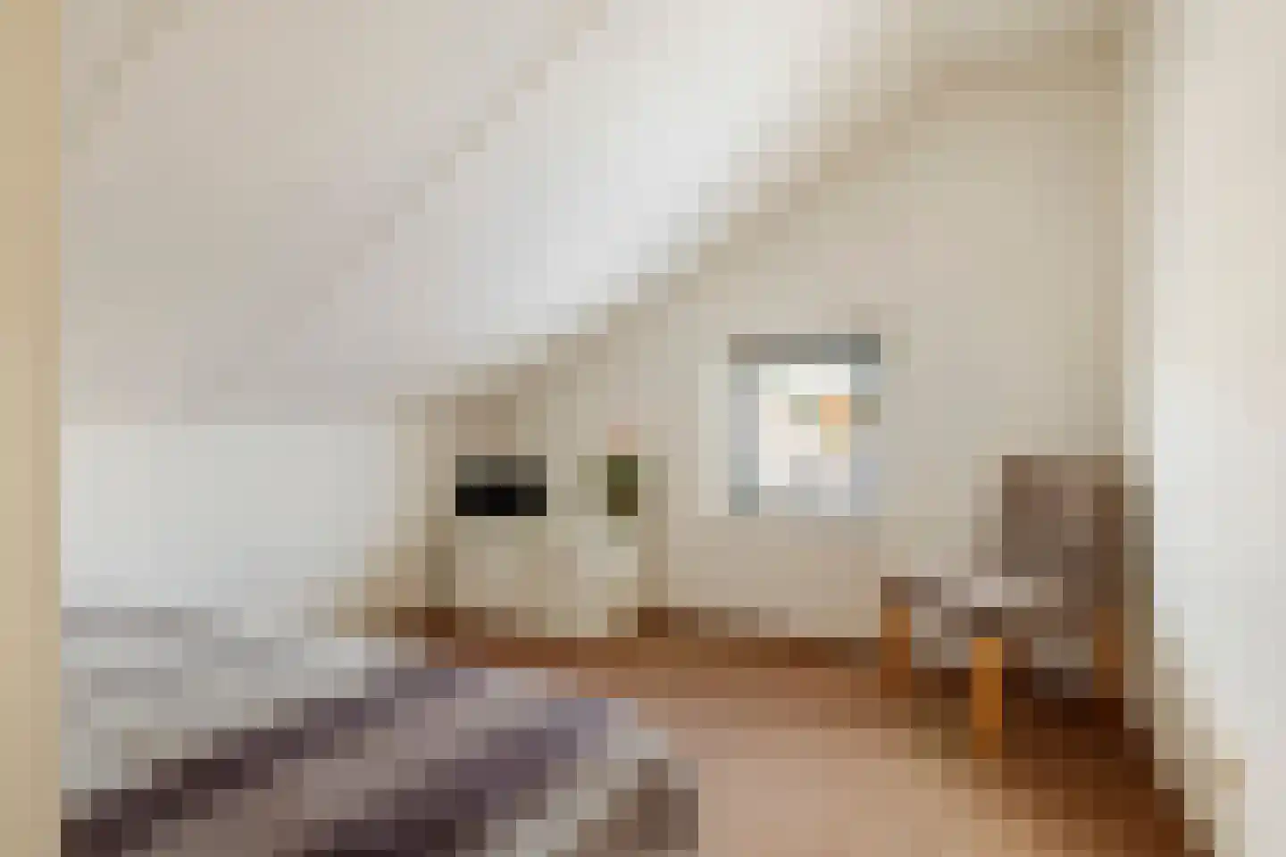 F.J. Ebbensstraat 74 Tiel thumbnail 42