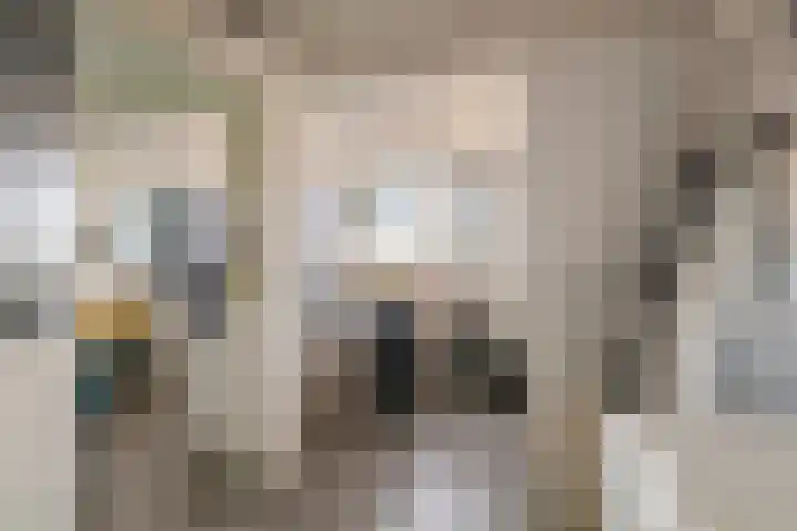 F.J. Ebbensstraat 75 Tiel thumbnail 22