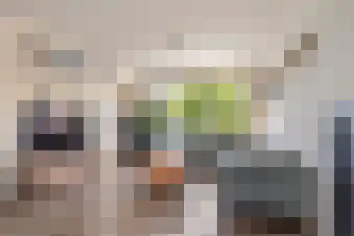 F.J. Ebbensstraat 75 Tiel thumbnail 6