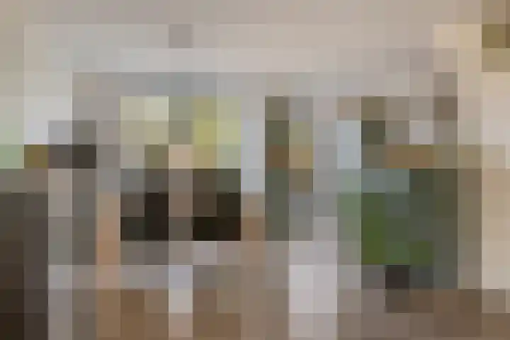 F.J. Ebbensstraat 75 Tiel thumbnail 8