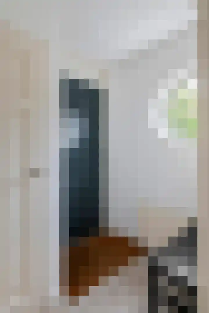 F.J. Ebbensstraat 79 Tiel thumbnail 13