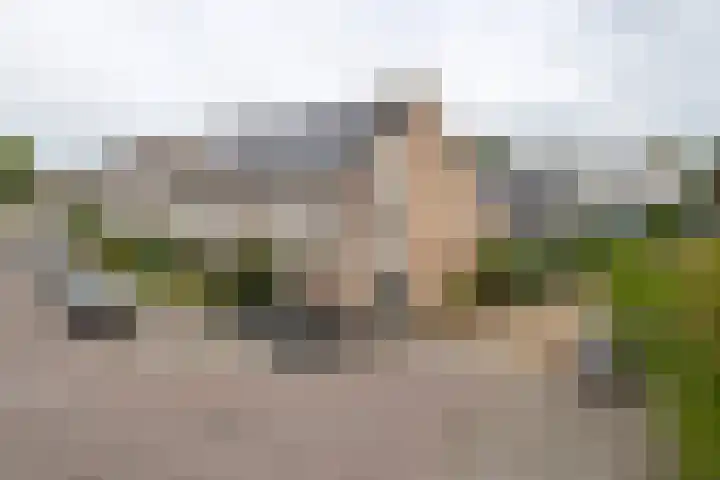F.J. Ebbensstraat 79 Tiel thumbnail 34