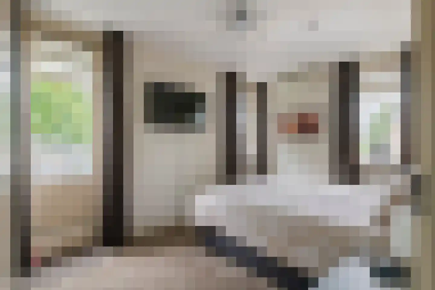 F.J. Ebbensstraat 82 Tiel thumbnail 36