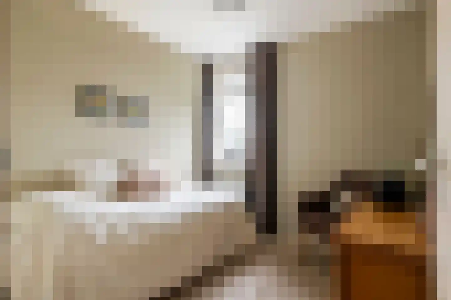 F.J. Ebbensstraat 82 Tiel thumbnail 40