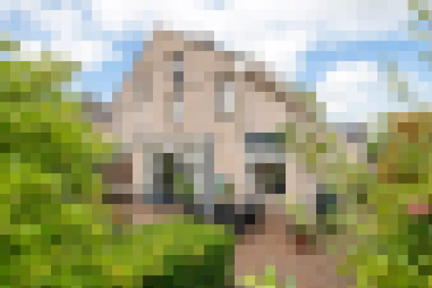 F.J. Ebbensstraat 82 Tiel thumbnail 5