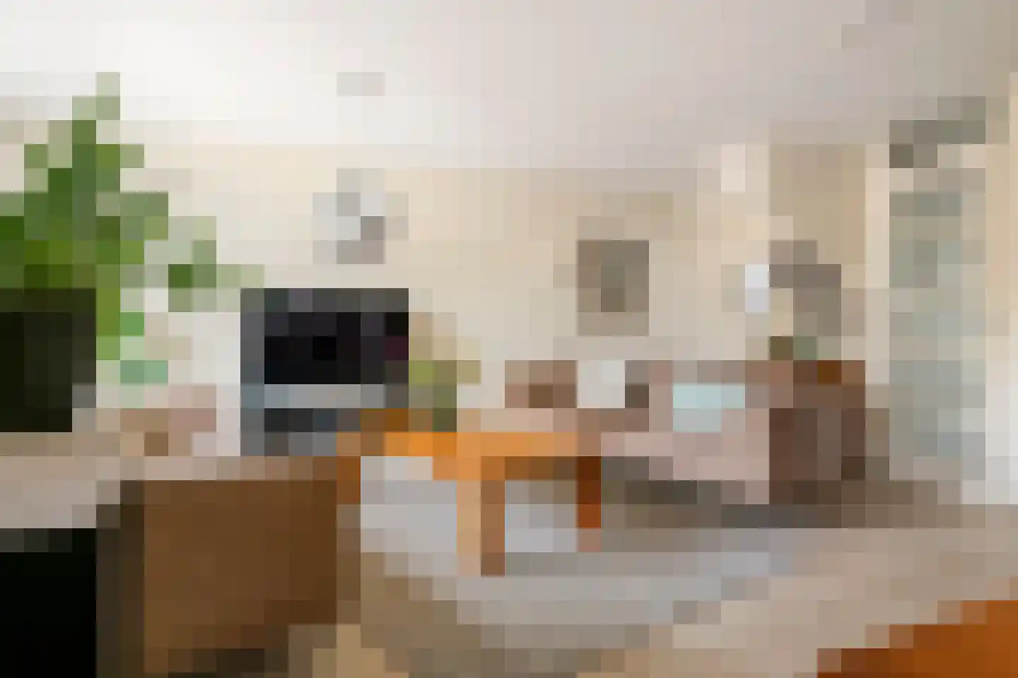 F.J. Ebbensstraat 82 Tiel thumbnail 8