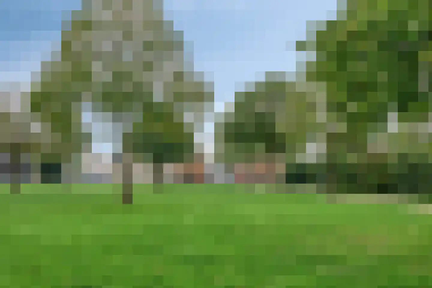 F.J. Ebbensstraat 86 Tiel thumbnail 46
