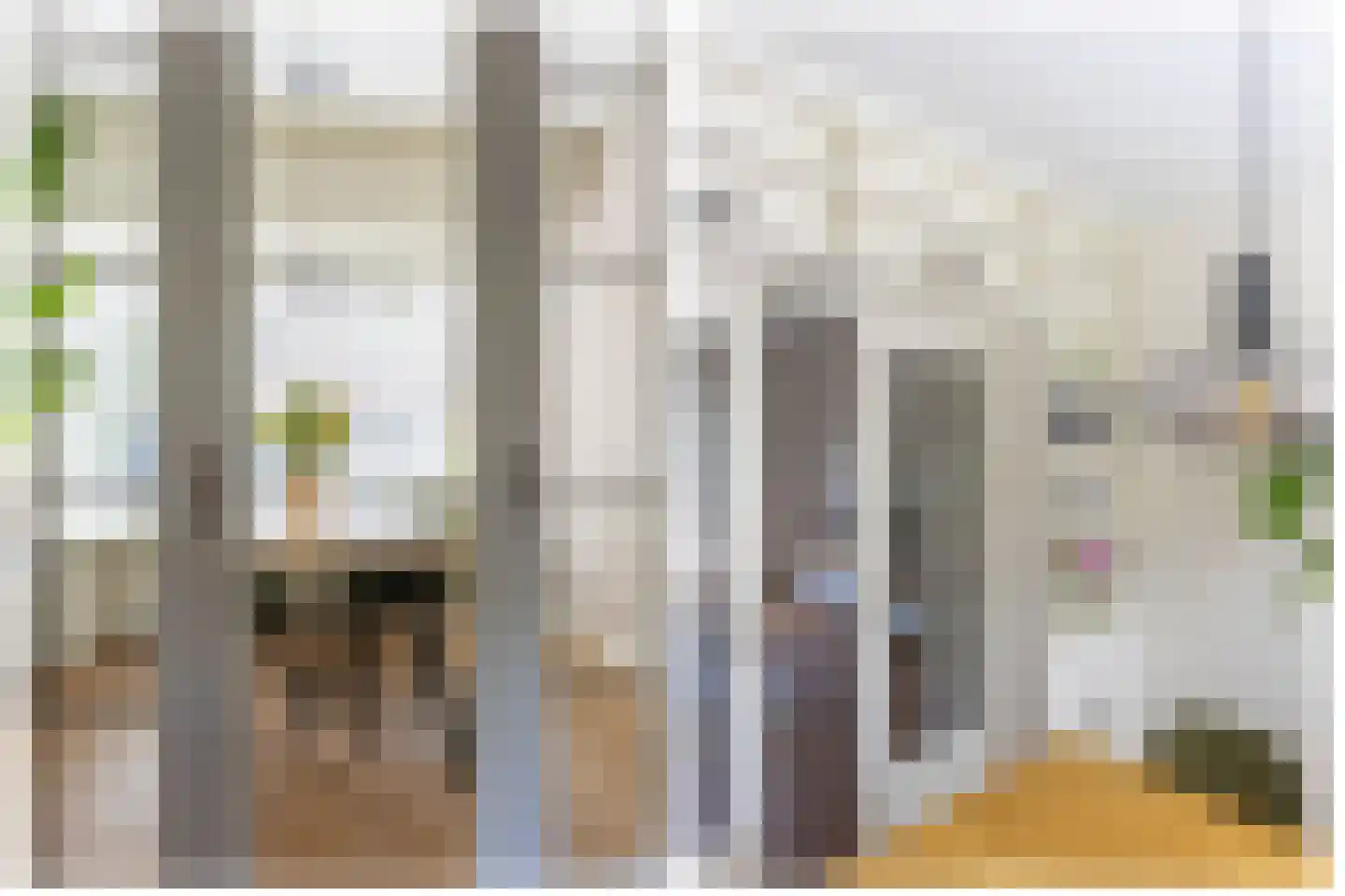 F. Koolhovenstraat 10 Utrecht thumbnail 15