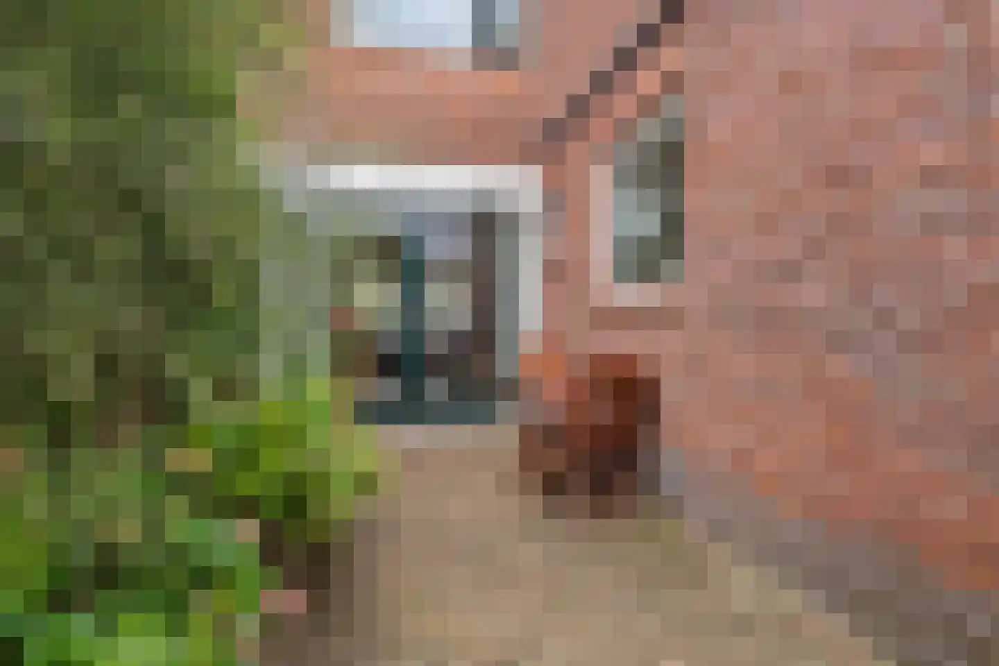 F. Koolhovenstraat 24 Utrecht thumbnail 19