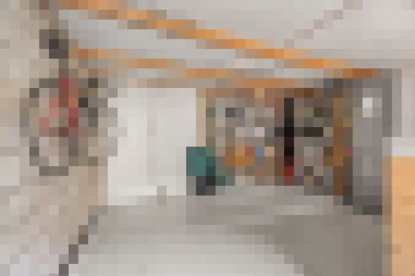 F. Koolhovenstraat 24 Utrecht thumbnail 23