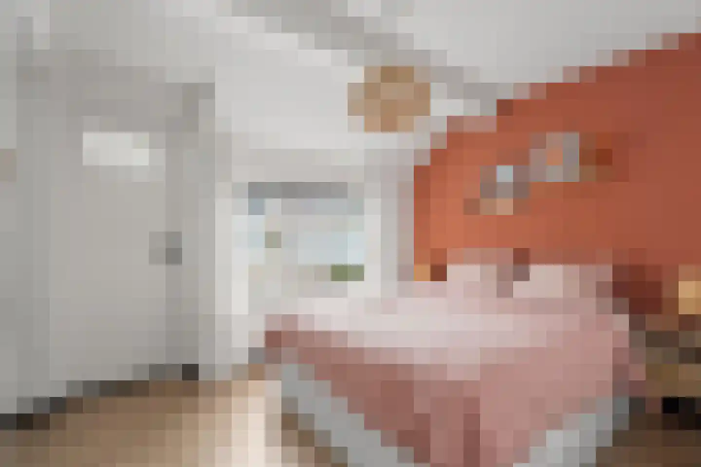 F. Koolhovenstraat 24 Utrecht thumbnail 32