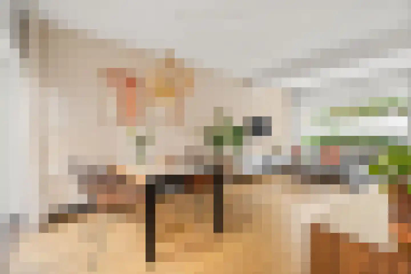 F. Koolhovenstraat 24 Utrecht thumbnail 4