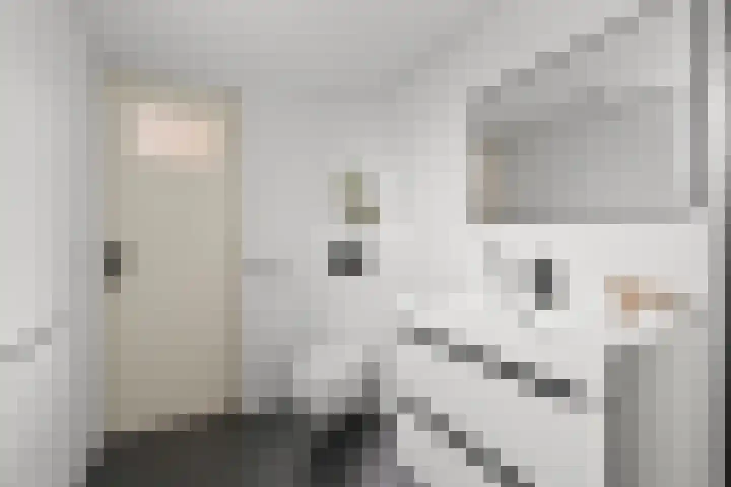 F. Koolhovenstraat 24 Utrecht thumbnail 43