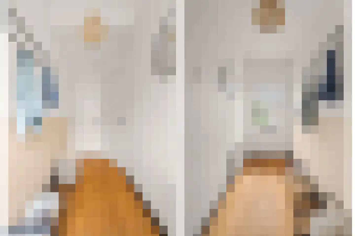F. Koolhovenstraat 24 Utrecht thumbnail 8