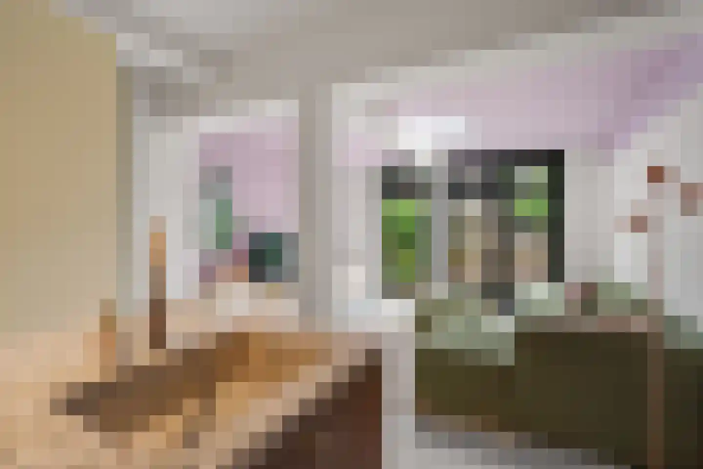 F. Koolhovenstraat 28 Utrecht thumbnail 15
