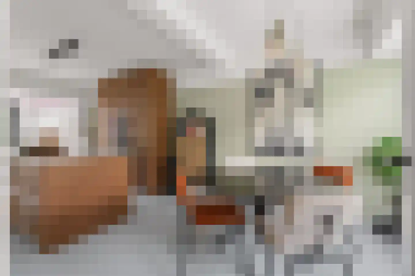 F. Koolhovenstraat 28 Utrecht thumbnail 9