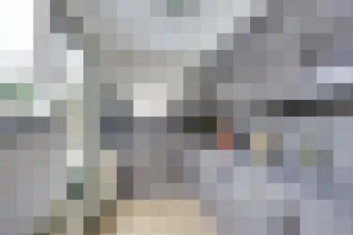 F. Koolhovenstraat 36 Utrecht thumbnail 23