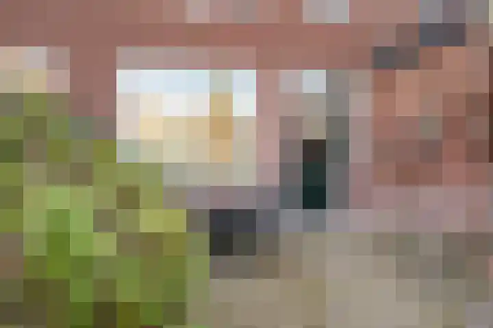 F. Koolhovenstraat 70 Utrecht thumbnail 22