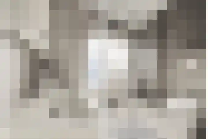 F. Koolhovenstraat 70 Utrecht thumbnail 33