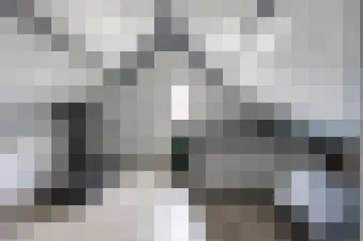 F.L. Wrightstraat 11 Landgraaf thumbnail 20