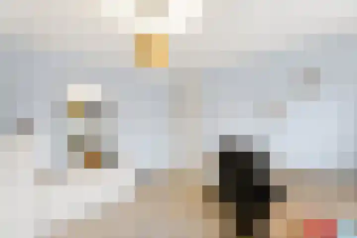 F. Leenhoutsstraat 22 Oost-Souburg thumbnail 18