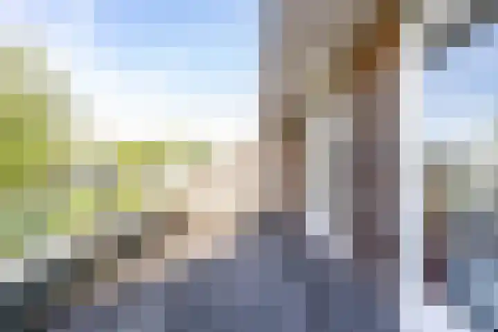 F. Leggerstraat 32 Groningen thumbnail 34
