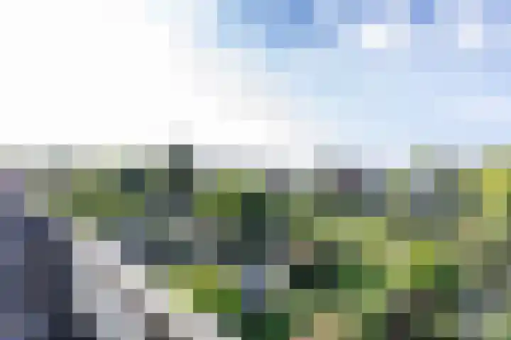 F. Leggerstraat 32 Groningen thumbnail 36