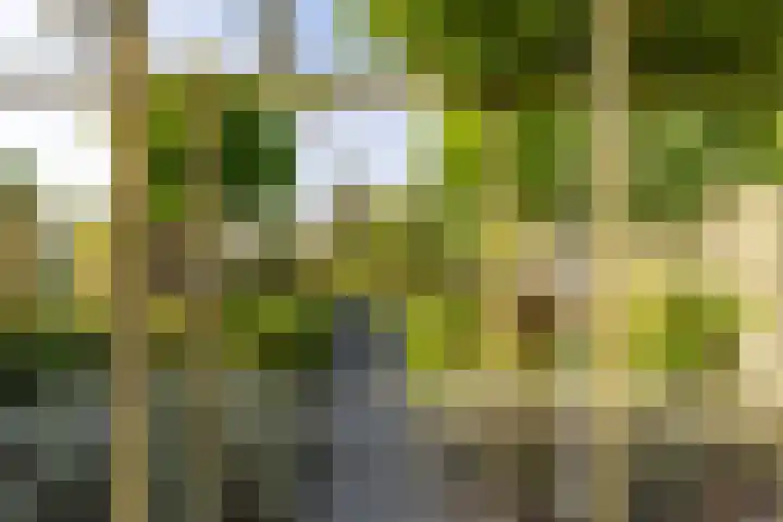 F. Leggerstraat 32 Groningen thumbnail 38
