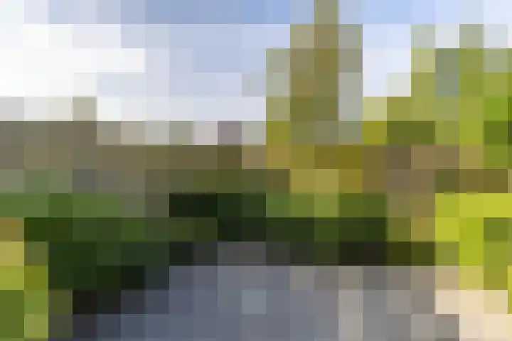 F. Leggerstraat 32 Groningen thumbnail 39