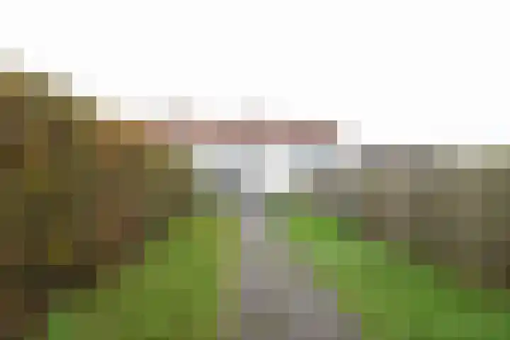 F v Eijkstraat 13 Rockanje thumbnail 38