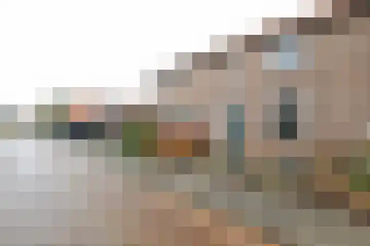 F v Eijkstraat 13 Rockanje thumbnail 5