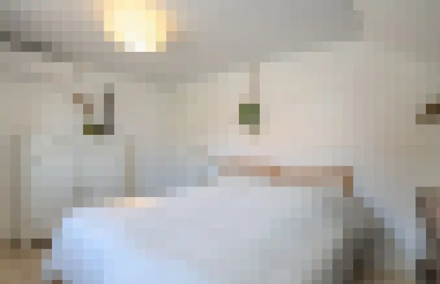 F v Eijkstraat 3 Rockanje thumbnail 10