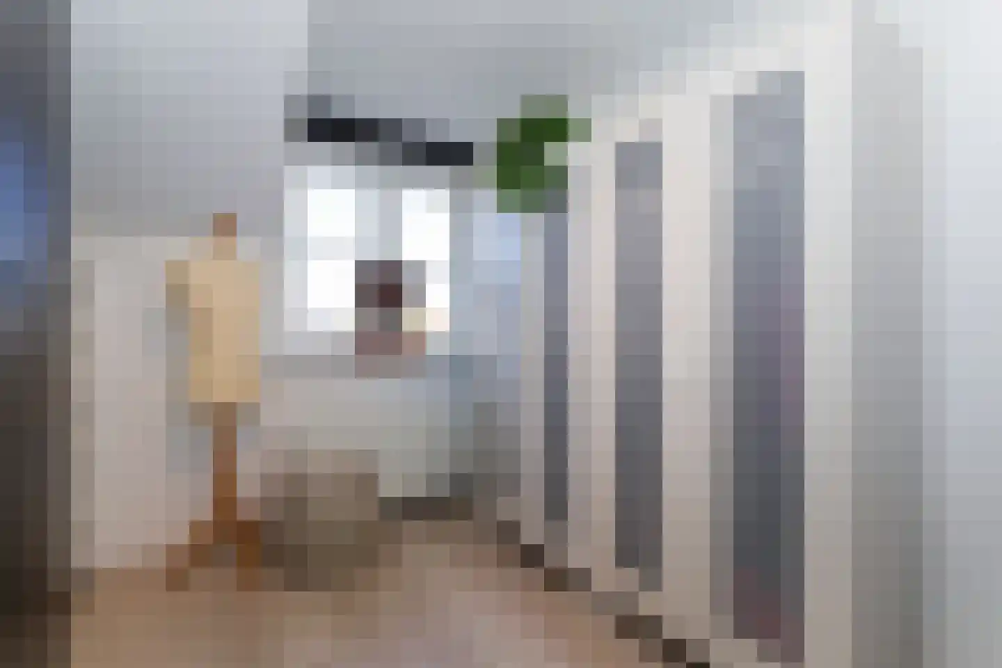 F v Eijkstraat 3 Rockanje thumbnail 17
