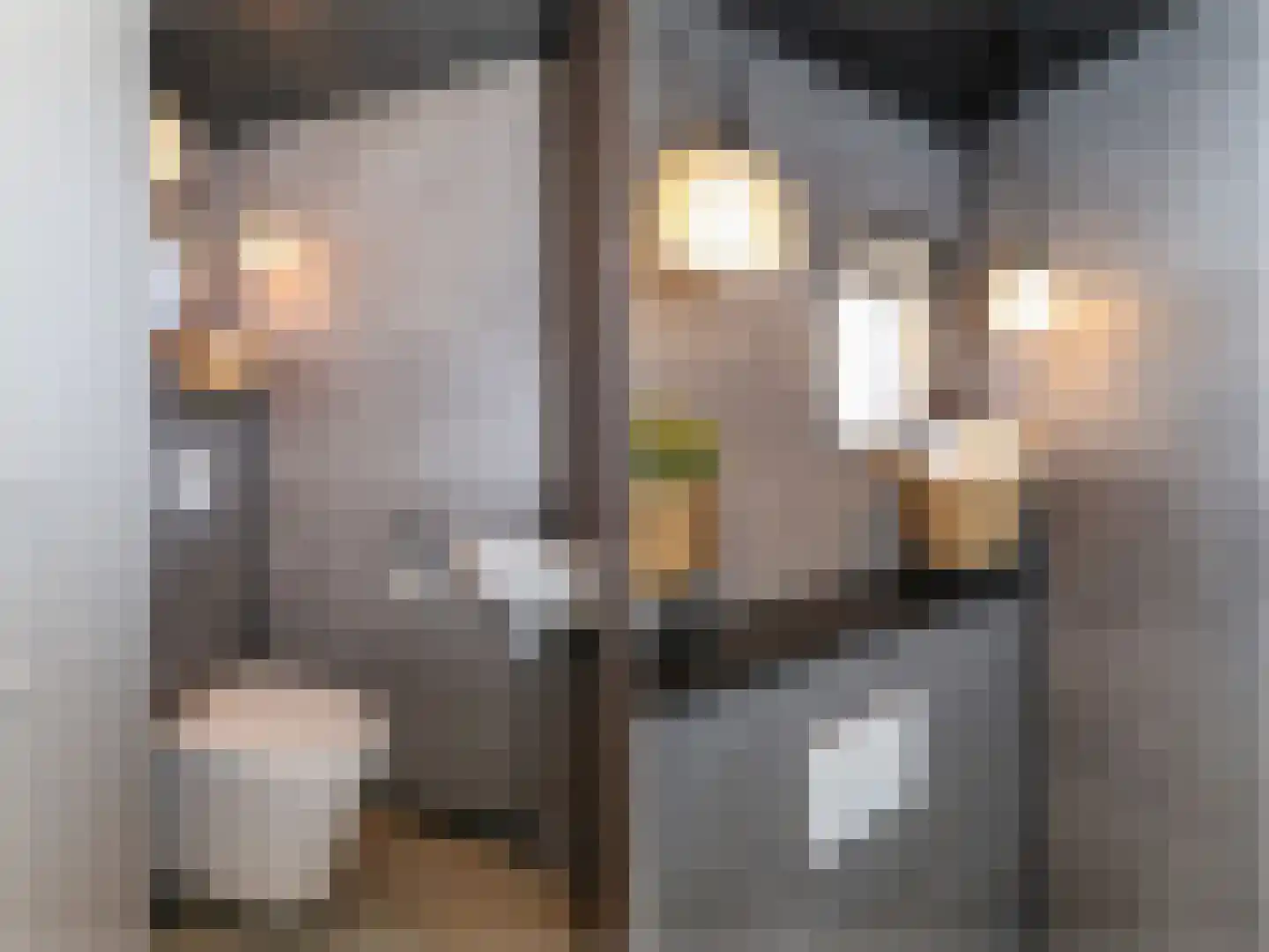 F v Eijkstraat 3 Rockanje thumbnail 39