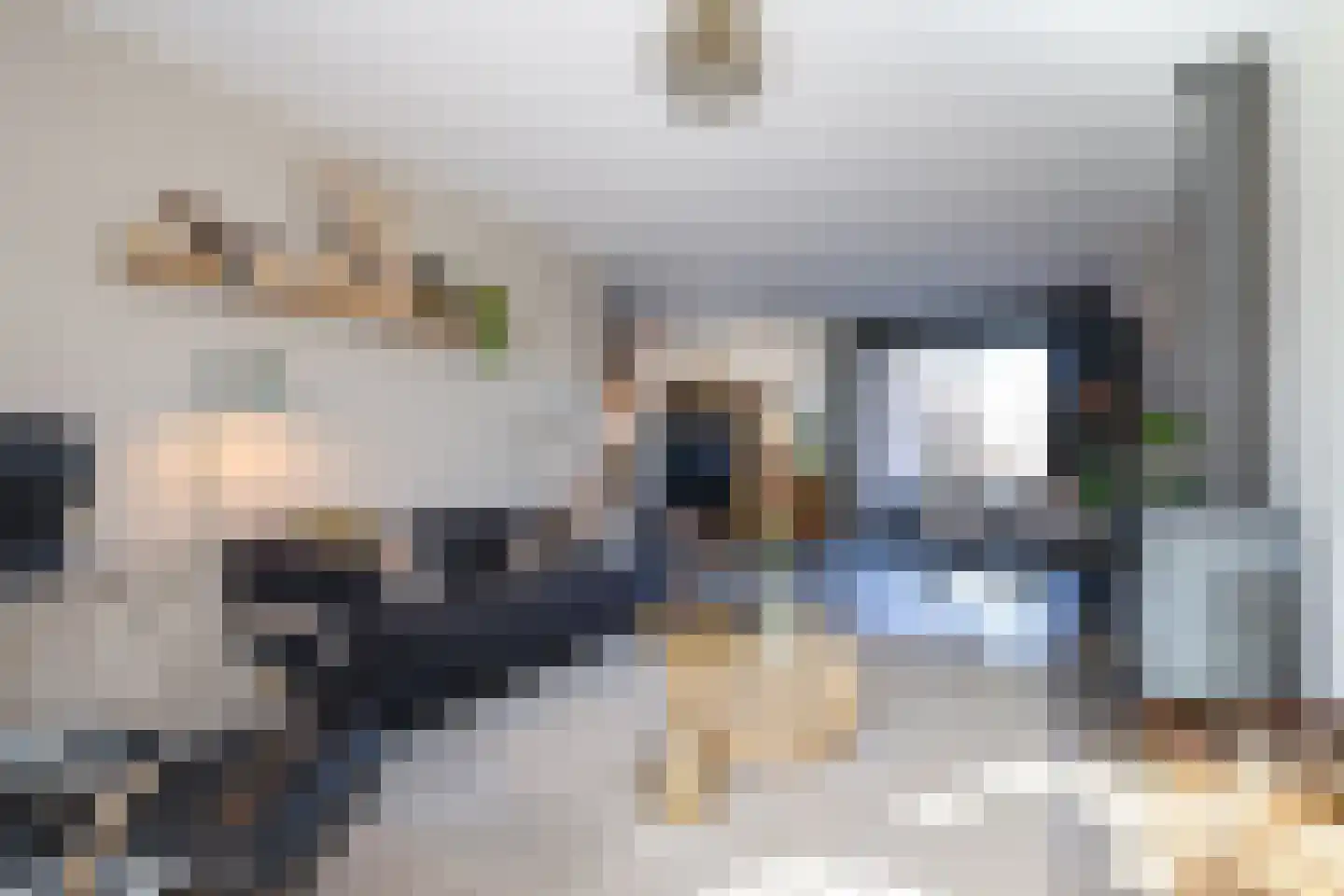 F v Eijkstraat 3 Rockanje thumbnail 59