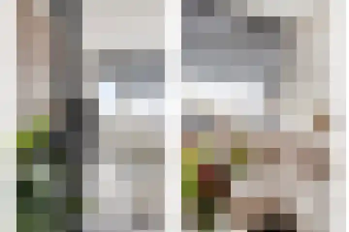 F. Zernikestraat 121 Hengelo thumbnail 14