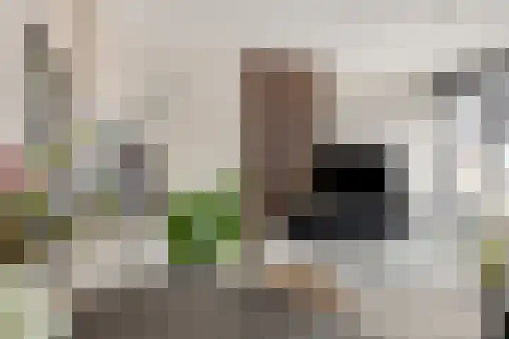 F. Zernikestraat 121 Hengelo thumbnail 18