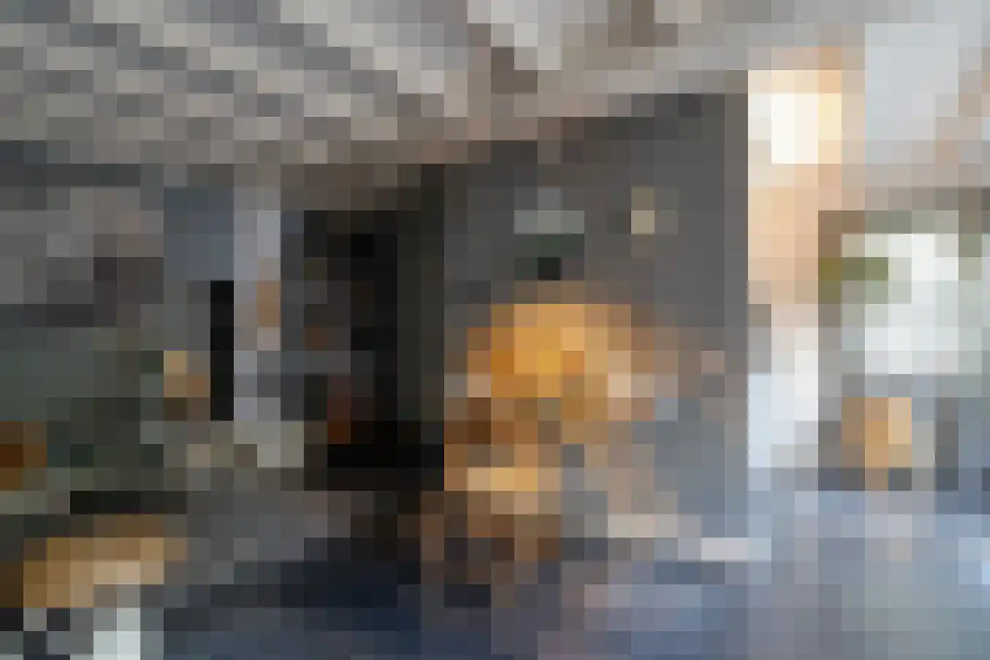 Faas Eliaslaan 41 Baarn thumbnail 20