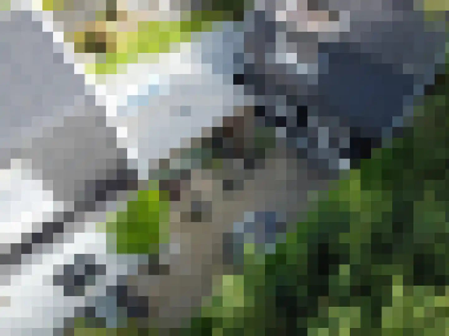 Faas Eliaslaan 41 Baarn thumbnail 23