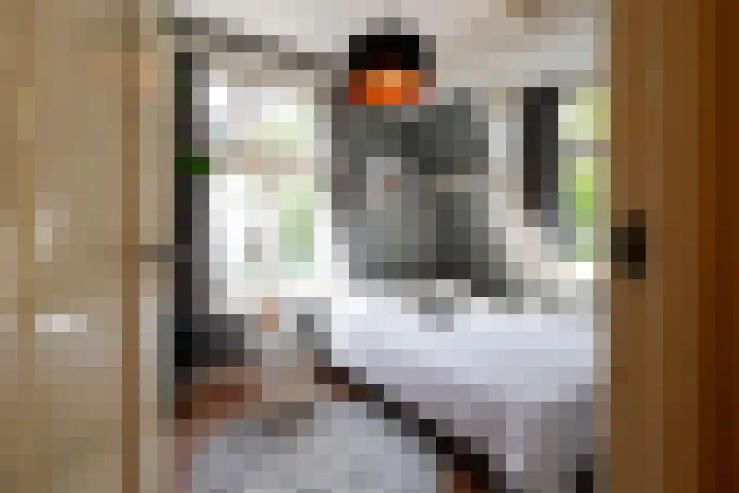 Faas Eliaslaan 41 Baarn thumbnail 28