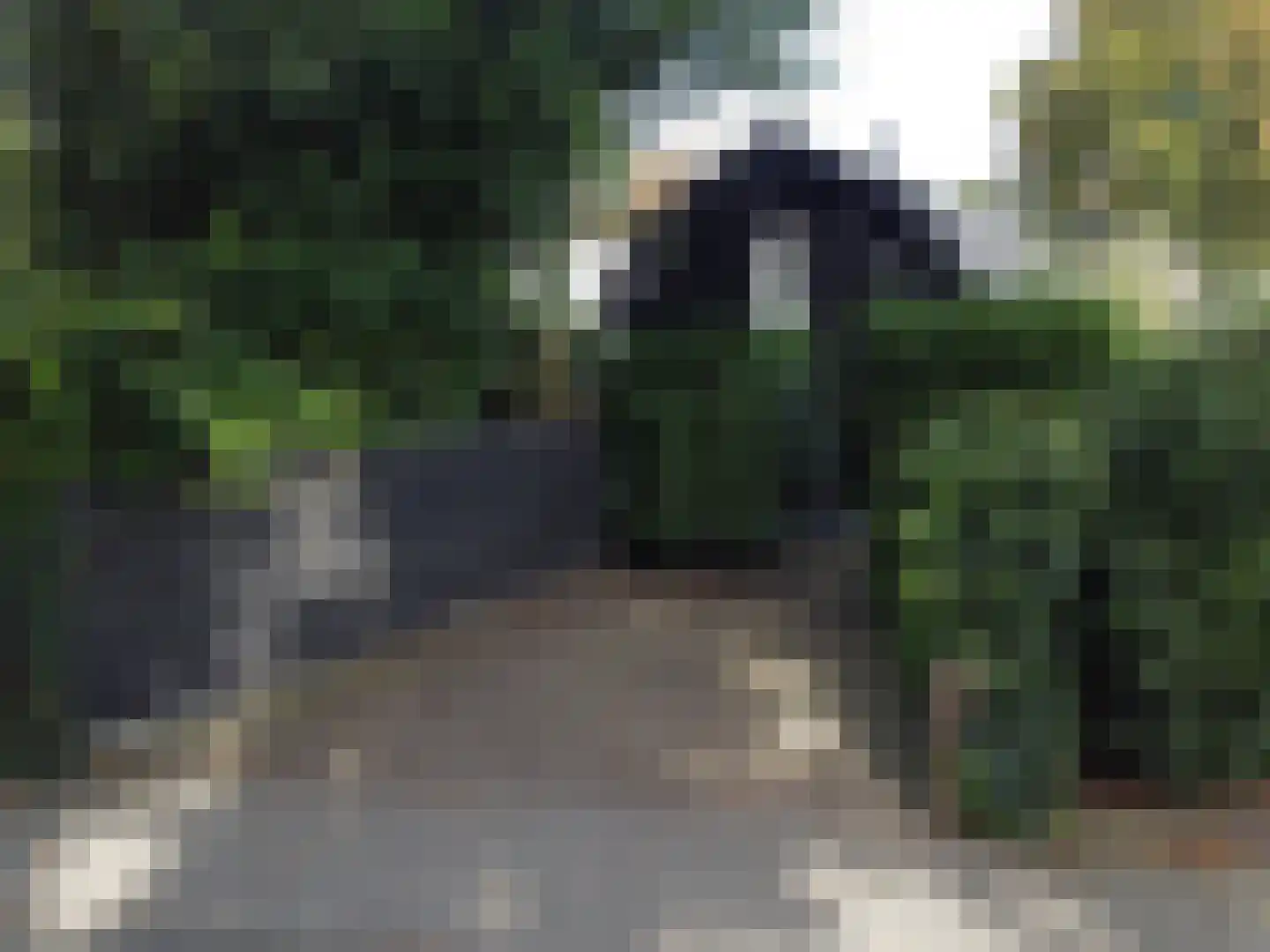 Faas Eliaslaan 41 Baarn thumbnail 33