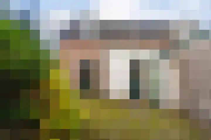 Faas Eliaslaan 47 Baarn thumbnail 23