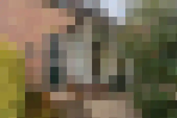Faas Eliaslaan 47 Baarn thumbnail 26